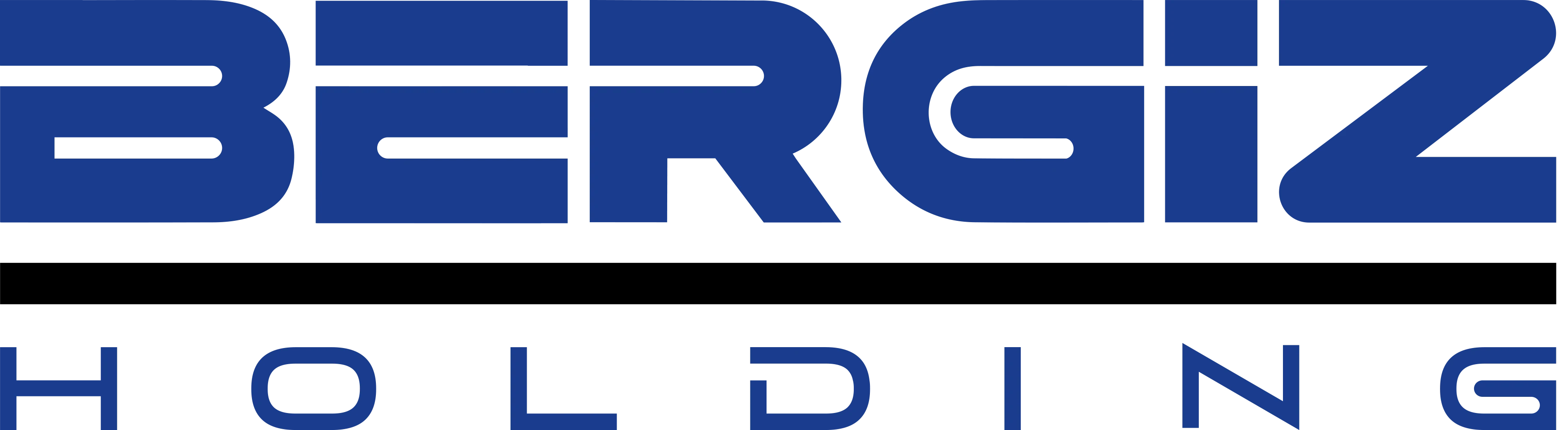 Bergiz Holding logosu