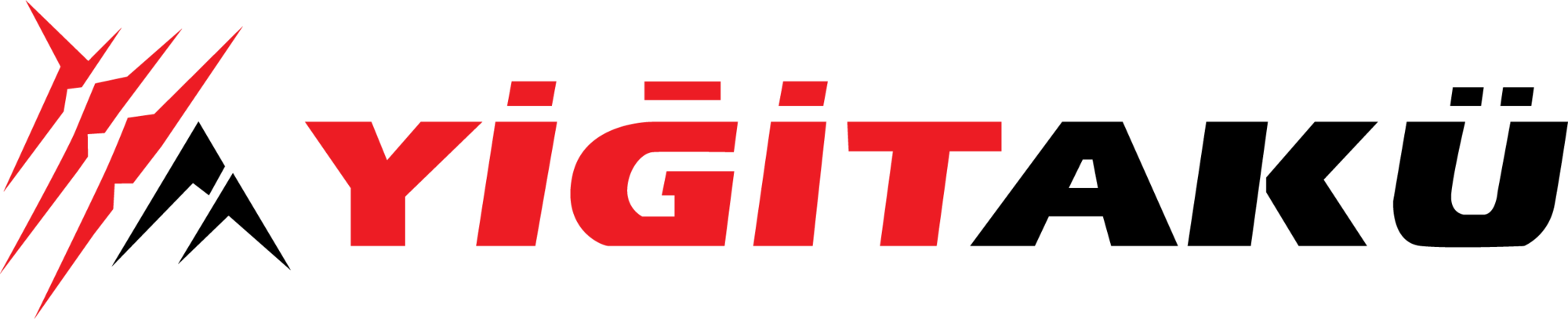 Yiğit Akü logosu